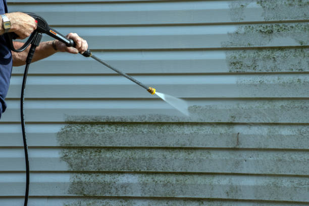 Best Building Exterior Pressure Washing in Monona, IA
